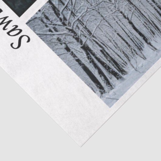 Decoupage Seasonal Trains 26x26 for Handsaws 薄葉紙 (詳細)