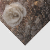 Decoupage Skeleton Floral Pink Silver  薄葉紙 (詳細)