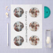 Decoupage Snow Globe Santa & Horse  薄葉紙 (クラフト)