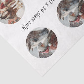 Decoupage Snow Globe Santa & Horse  薄葉紙 (詳細)