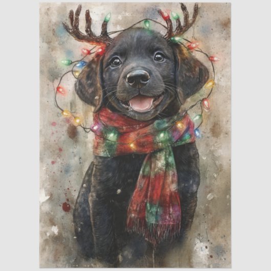 Decoupage Special Black Lab Pup Noah 薄葉紙 (正面)