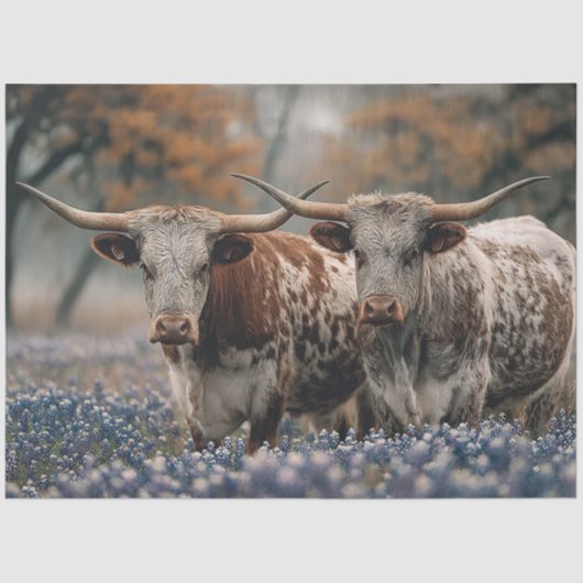 Decoupage Texas Longhorns Field Bluebonnet Flowers 薄葉紙 (正面)