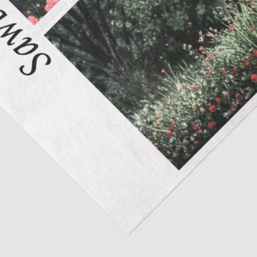 Decoupage Valentine Fairy Signs & Handsaws  薄葉紙 (詳細)