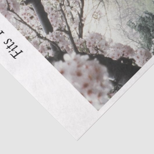 Decoupage Waterfall Cherry Blossom Fits 16x20  薄葉紙 (詳細)