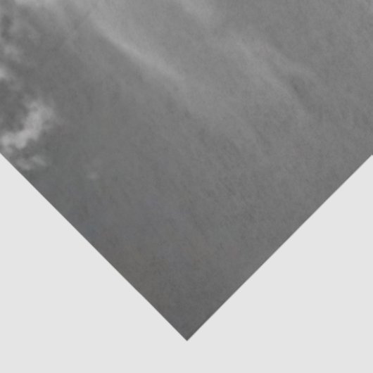 Decoupage Western Solitude Lisa Chappell 薄葉紙 (詳細)