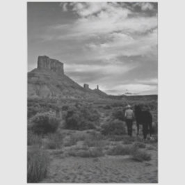 Decoupage Western Solitude Lisa Chappell 薄葉紙