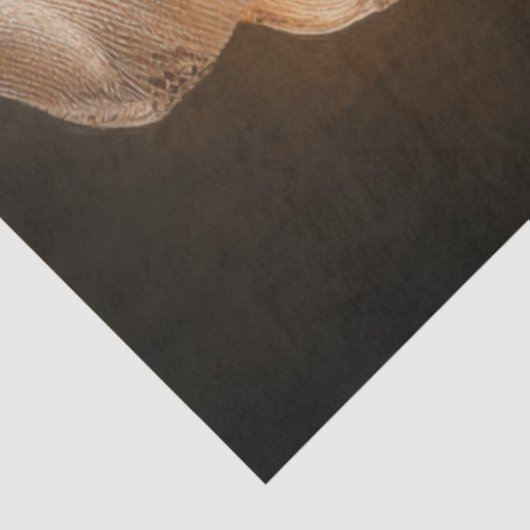 Decoupage Western Whimsy Child Dancing Prairie  薄葉紙 (詳細)