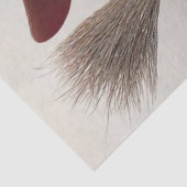 Decoupage Whimsical Christmas Witch  薄葉紙 (詳細)