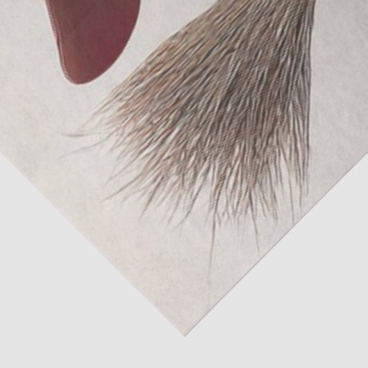 Decoupage Whimsical Christmas Witch  薄葉紙 (詳細)