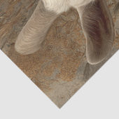 Decoupage Whimsical Goats Tom & Jerry  薄葉紙 (詳細)