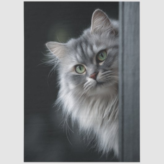 Decoupage Whimsical Persian Gray White Cat 薄葉紙 (正面)