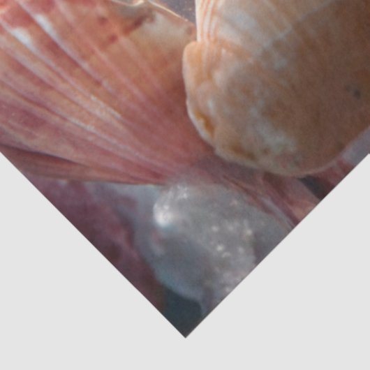 Decoupage Whimsical Seahorse Underwater World  薄葉紙 (詳細)