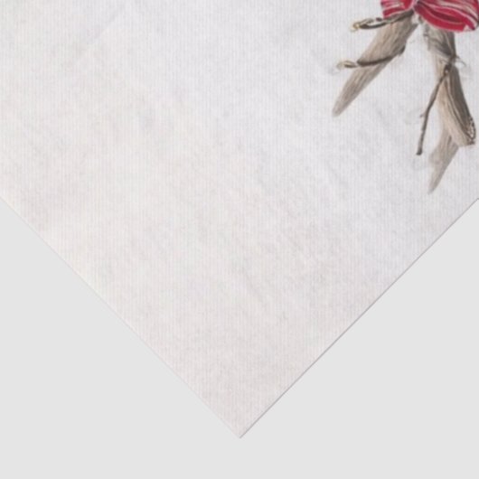 Decoupage White Highland Calf Antlers Candy Cane  薄葉紙 (詳細)