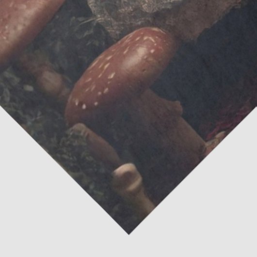 Decoupage Wonderful Curious Girl Rabbit Encounter 薄葉紙 (詳細)