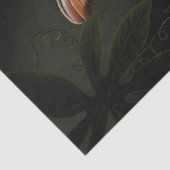 Decoupage Woodland Moth Illustration 薄葉紙 (詳細)