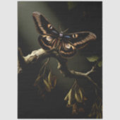 Decoupage Woodland Moth Illustration 薄葉紙 (正面)