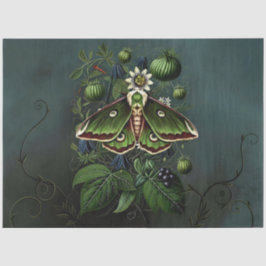 Decoupage Woodland Moth Illustration 薄葉紙