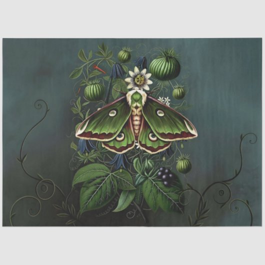 Decoupage Woodland Moth Illustration 薄葉紙 (正面)