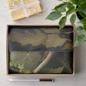 Decoupage Woodland Moth Illustration 薄葉紙 (ギフト)