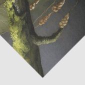 Decoupage Woodland Moth Illustration 薄葉紙 (詳細)