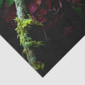 Decoupage Woodland Moth Illustration 薄葉紙 (詳細)