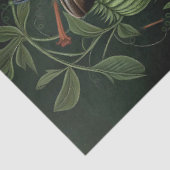 Decoupage Woodland Moth Illustration 薄葉紙 (詳細)