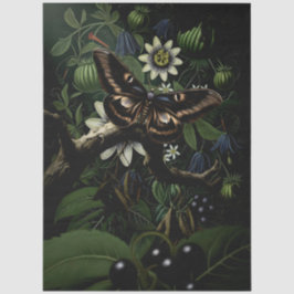 Decoupage Woodland Moth Illustration 薄葉紙