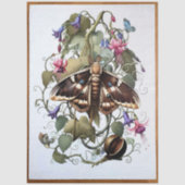 Decoupage Woodland Moth Illustration 薄葉紙 (正面)