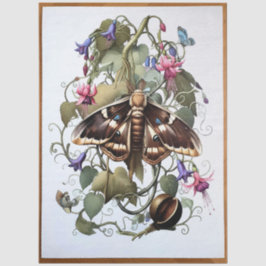 Decoupage Woodland Moth Illustration 薄葉紙
