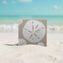 Deep Beige & White Tropical Beach Sand Dollar タイル
