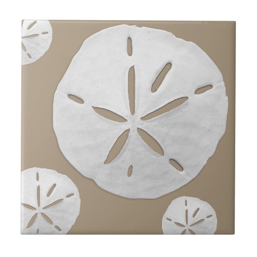 Deep Beige & White Tropical Beach Sand Dollar タイル (正面)