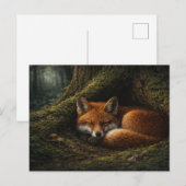 Deep Forest Slumber | Red Fox Art | Postcard ポストカード (正面/裏面)