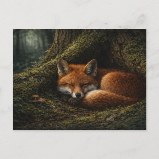 Deep Forest Slumber | Red Fox Art | Postcard ポストカード (正面)