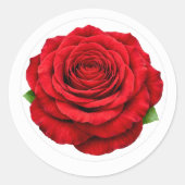 Deep Red Rose Round Envelope Seal Sticker ラウンドシール (正面)