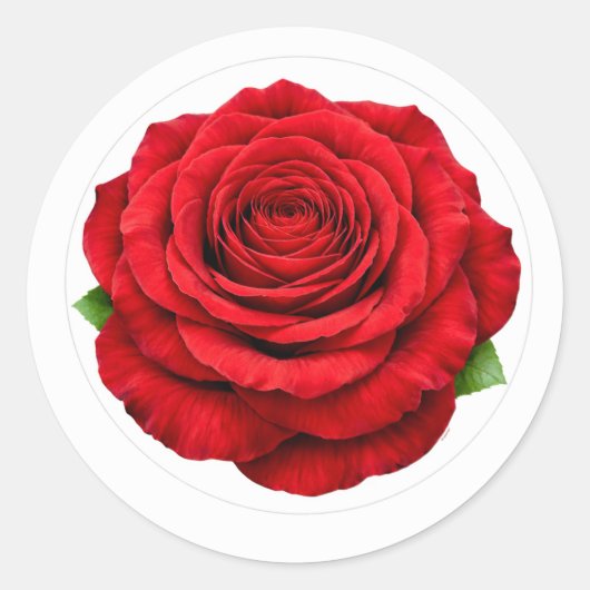 Deep Red Rose Round Envelope Seal Sticker ラウンドシール (正面)