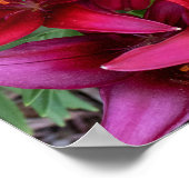 Deep Reds ポスター (角)