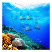 DEEP SEA フォトプリント            (正面)