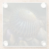 Deep Sea Urchin ガラスコースター (裏面)
