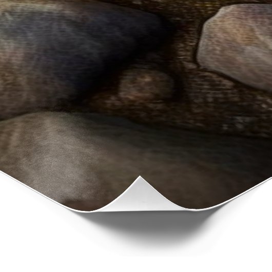 Deep Sea Urchin ポスター (コーナー)