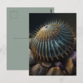 Deep Sea Urchin ポストカード (正面/裏面)