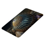 Deep Sea Urchin マグネット (左側)