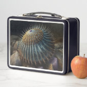 Deep Sea Urchin メタルランチボックス (インサイチュ)
