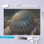 Deep Sea Urchin 薄葉紙 (クラフト)