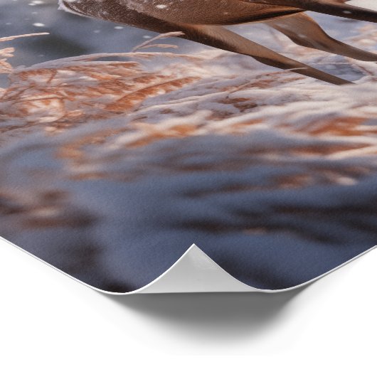 Deer ポスター (角)