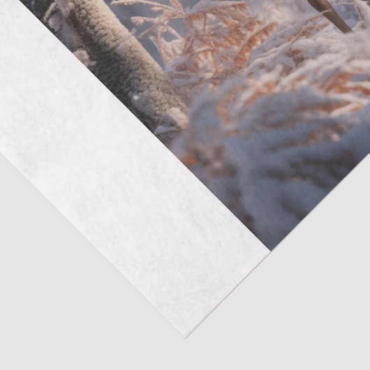 Deer 薄葉紙 (詳細)