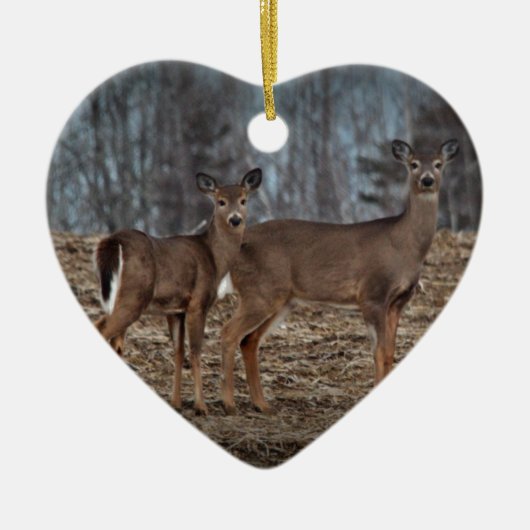 Deer_0337v セラミックオーナメント (正面)