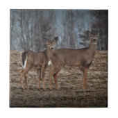 Deer_0337v タイル (正面)