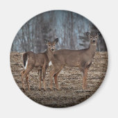 Deer_0337v マグネット (正面)