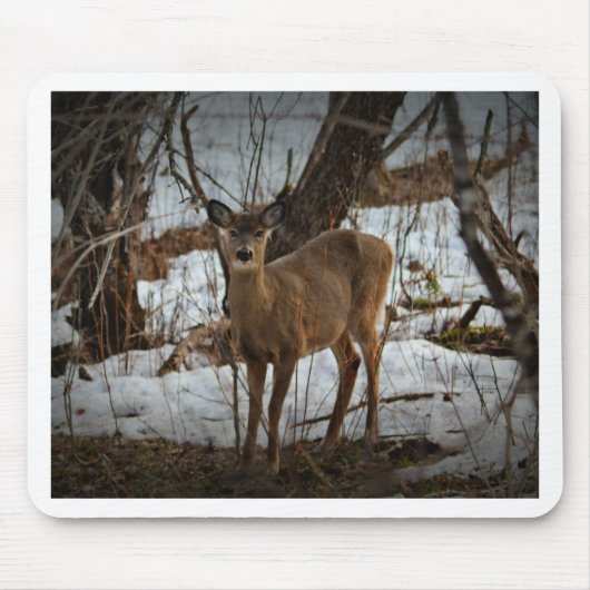 Deer_0373v マウスパッド (正面)
