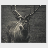 DEER 12 POINT BUCK ラッピングペーパー (フラット)